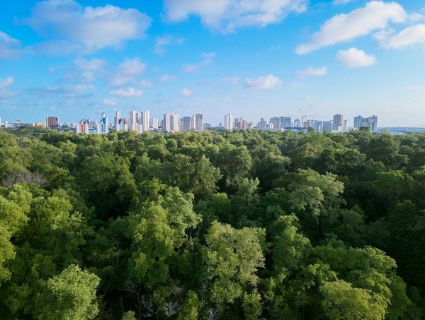 Les Enjeux Uniques de la Traduction des Podcasts de Divertissement : Décryptage et Perspectives