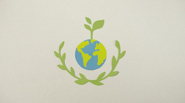 Les Éditions Collector des Mangas les Plus Prisées : Découvertes Exclusives et Rare Items